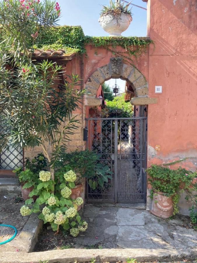 Ferienwohnung Casa "Oasi" Centro Storico Tuscania Exterior foto