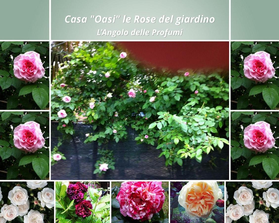 Ferienwohnung Casa "Oasi" Centro Storico Tuscania Exterior foto
